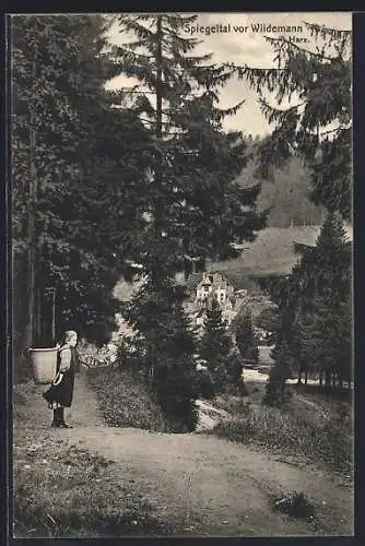 AK Wildemann /Spiegeltal, Blick auf den Ort vom Weg aus