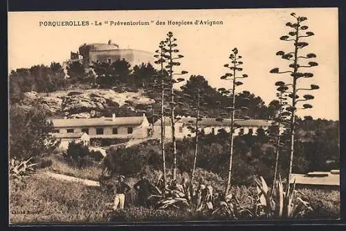 AK Porquerolles, Le Préventorium des Hospices d`Avignon