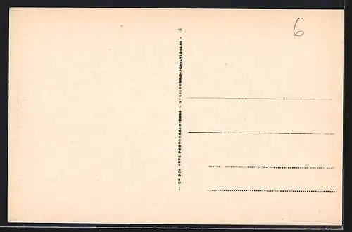 AK Le Revest-les-Eaux, Champs d`Oliviers et vue du village en arrière-plan