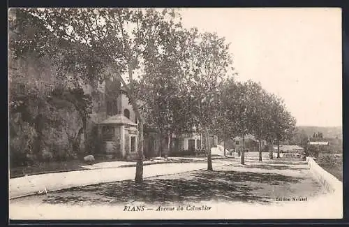 AK Rians, Avenue du Colombier avec arbres et maisons en arrière-plan