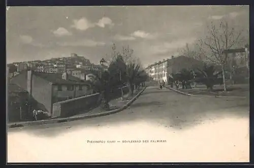 AK Pierrefeu, Boulevard des Palmiers