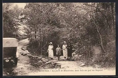 AK Meounes, La forêt de Montrieux, sous bois au gué du Gapéau