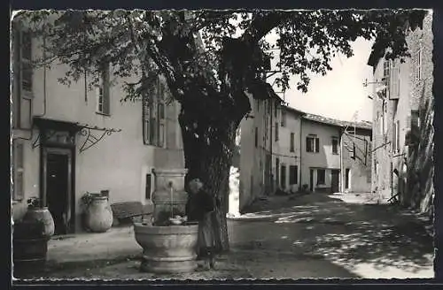 AK Montauroux, Fontaine sous l`arbre dans une rue tranquille