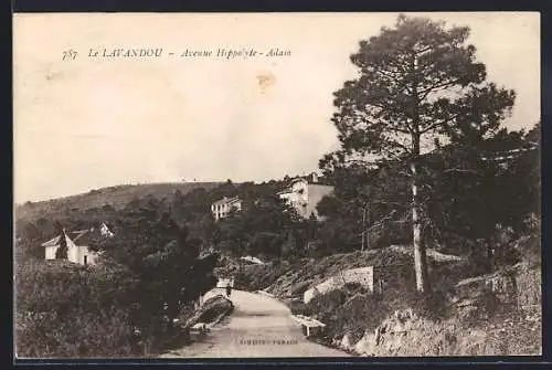 AK Le Lavandou, Avenue Hippolyte-Adam