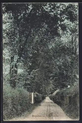 AK Royston, The Grove