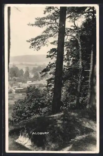 AK Aldbury, Blick auf den Ort vom Wald aus