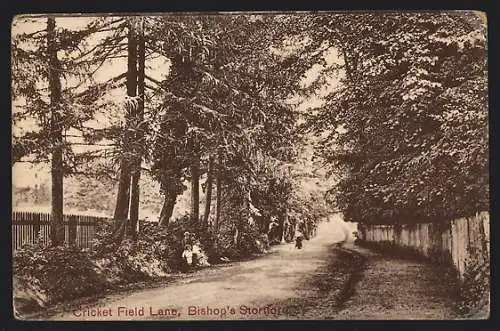 AK Bishop`s Stortford, Cricket Field Lane