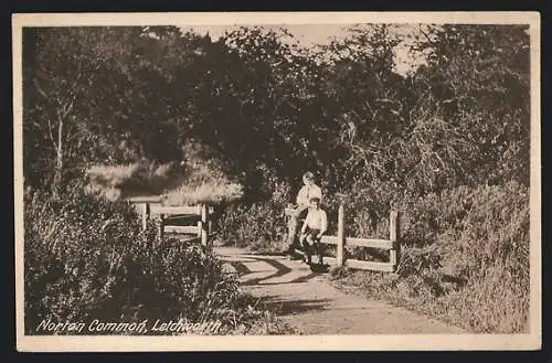 AK Letchworth, Norton Common