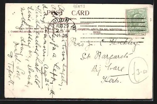 AK Great Hadham, Weg umrahmt von Bäumen