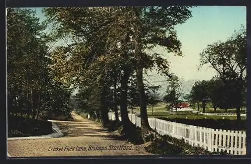 AK Bishops Stortford, Cricket Field Lane