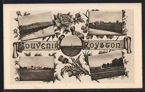 AK Royston, Ortsansichten mit Rosen