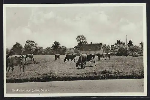AK Sandon, The Anchor, Roe Green