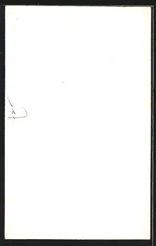 AK Madeira, Monumento da Paz