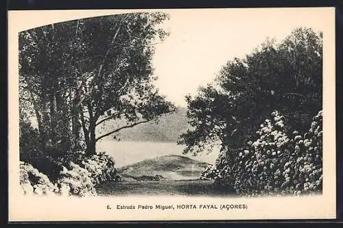 AK Horta Fayal /Acores, Estrada Pedro Miguel
