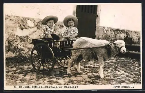 AK S. Miguel /Acores, Carroca de Carneiro