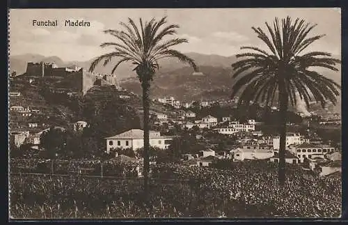 AK Madeira, Funchal
