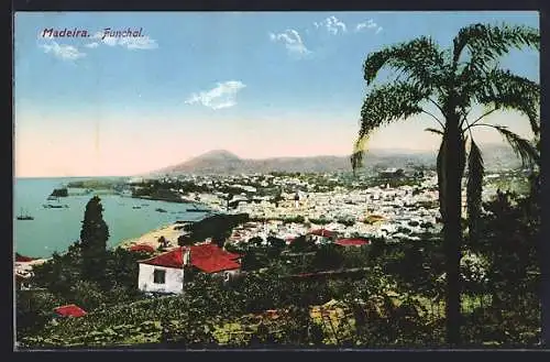 AK Funchal, Madeira, Panorama