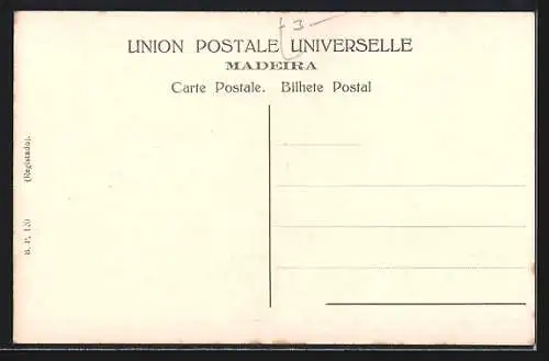 AK Funchal, Madeira, Panorama