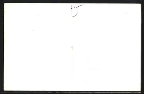 AK Funchal, De Noite