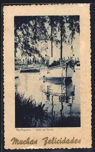 AK Delta del Paraná, Panorama