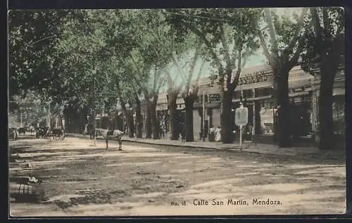 AK Mendoza, Calle San Martin