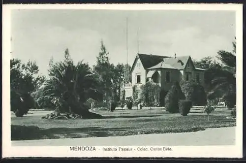 AK Mendoza, Instituto Pasteur