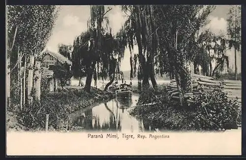 AK Paraná Mimi, Tigre
