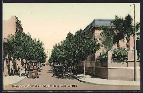 AK Rosario de Santa-Fé, Arboleda de la Calle Córdoba