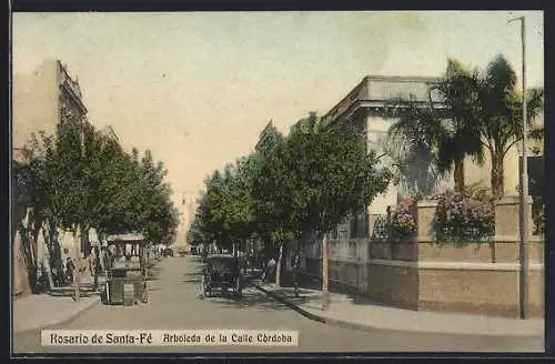 AK Rosario de Santa-Fé, Arboleda de la Calle Córdoba