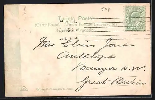 AK Bahia Blanca, Calle Alsina, Strassenpartie