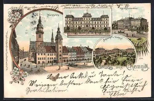 Lithographie Chemnitz, Marktplatz, Stiftung Zimmermann'sche Naturheilanstalt, Kgl. Gymnasium, Schlacht- und Viehhof