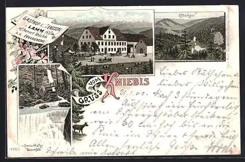 Lithographie Kniebis / Freudenstadt, Gasthof & Pension Lamm, Ellbachsee, Wasserfall