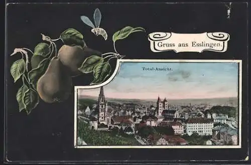 Passepartout-AK Esslingen / Neckar, Stadtansicht mit Kirchen und Gebäuden, Birnen