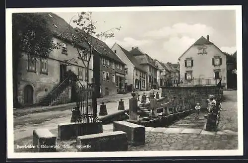 AK Beerfelden i. Odenwald, Partie an der Mümlingquelle