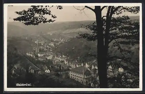 AK Weidenthal / Pfalz, Ortsansicht vom Berg