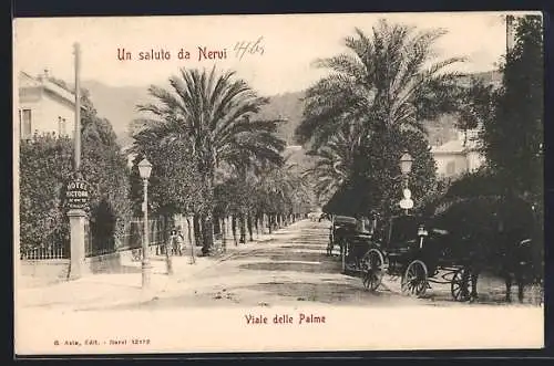 AK Nervi, Viale delle Palme