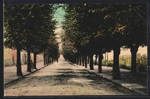 AK Acqui, Corso Bagni, Viale