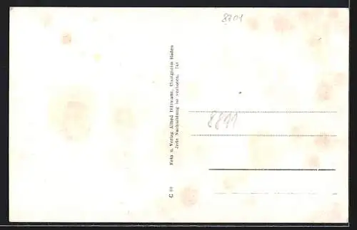 AK Waldbrunn / Ufr., Strassenpartie, Teilansicht mit Kirche