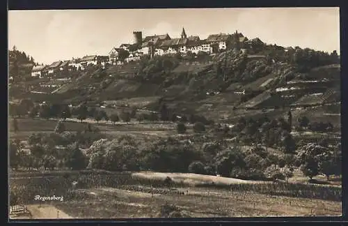 AK Regensberg, Ortsansicht von einem Feld aus, Turm, Kirchturm