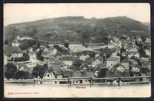 AK Herisau, Totalansicht mit Bergpanorama aus der Vogelschau