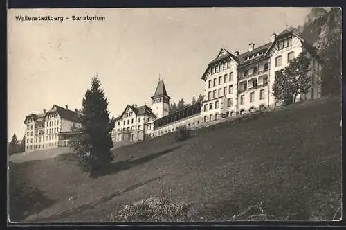 AK Wallenstadtberg, Sanatorium, von unten gesehen