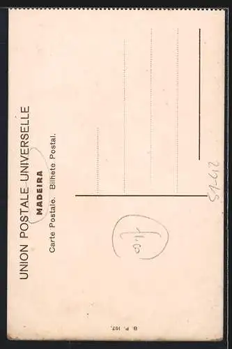 AK Madeira, Portugiesische Frau in Tracht mit Stock