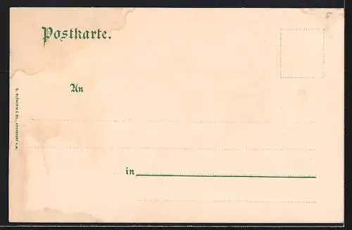 AK Matrei am Brenner, Schützencompagnie in Tyrol, Trachtenkapelle