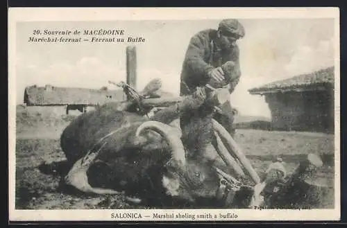 AK Salonica, Marshal sholing smith a buffalo, Hufschmied bei der Arbeit