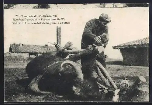 AK Salonica, Marshal sholing smith a buffalo