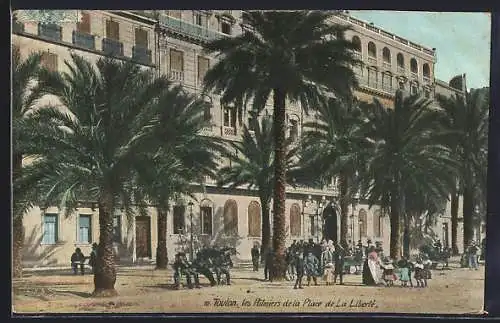 AK Toulon, les Palmiers de la Place de la Liberté