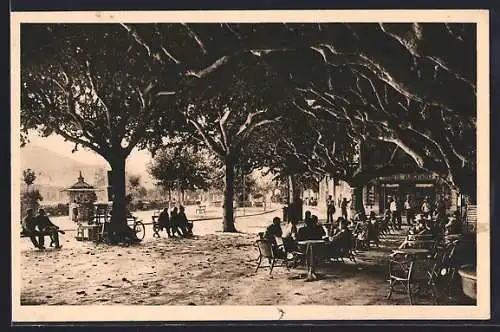 AK Sainte-Maxime, La Place avec arbres et personnes assises