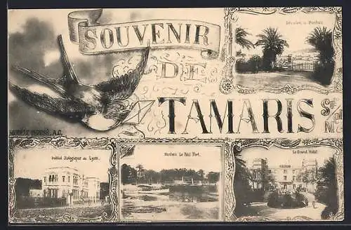 AK Tamaris, Souvenir avec divers bâtiments et paysages
