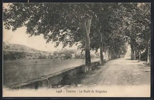 AK Tourves, La Route de Brignoles avec allée d`arbres et paysage environnant