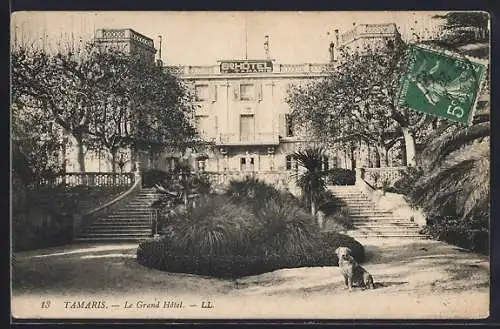 AK Tamaris, Le Grand Hôtel avec jardins et chien sur l`escalier